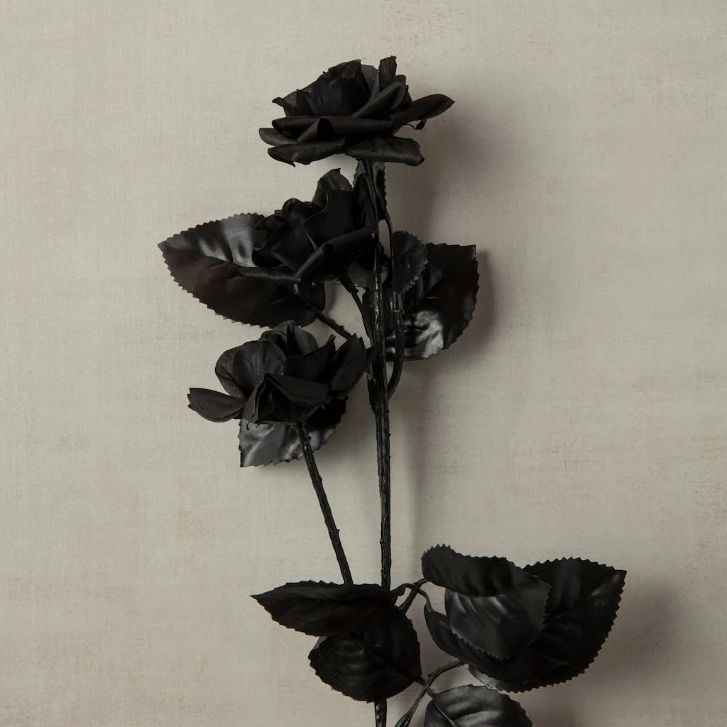 Cheap 🧨 Floral Essentials Diamond Rose Spray by Ashland® ⭐ 5 Cheap 🧨 Floral Essentials Diamond Rose Spray by Ashland® ⭐ - Image 3