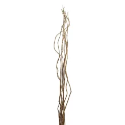 Brand new 👍 Natural Curly Willow by Ashland® ✨ 9 Brand new 👍 Natural Curly Willow by Ashland® ✨ -Outlet Yuletide Joy Store 10017457