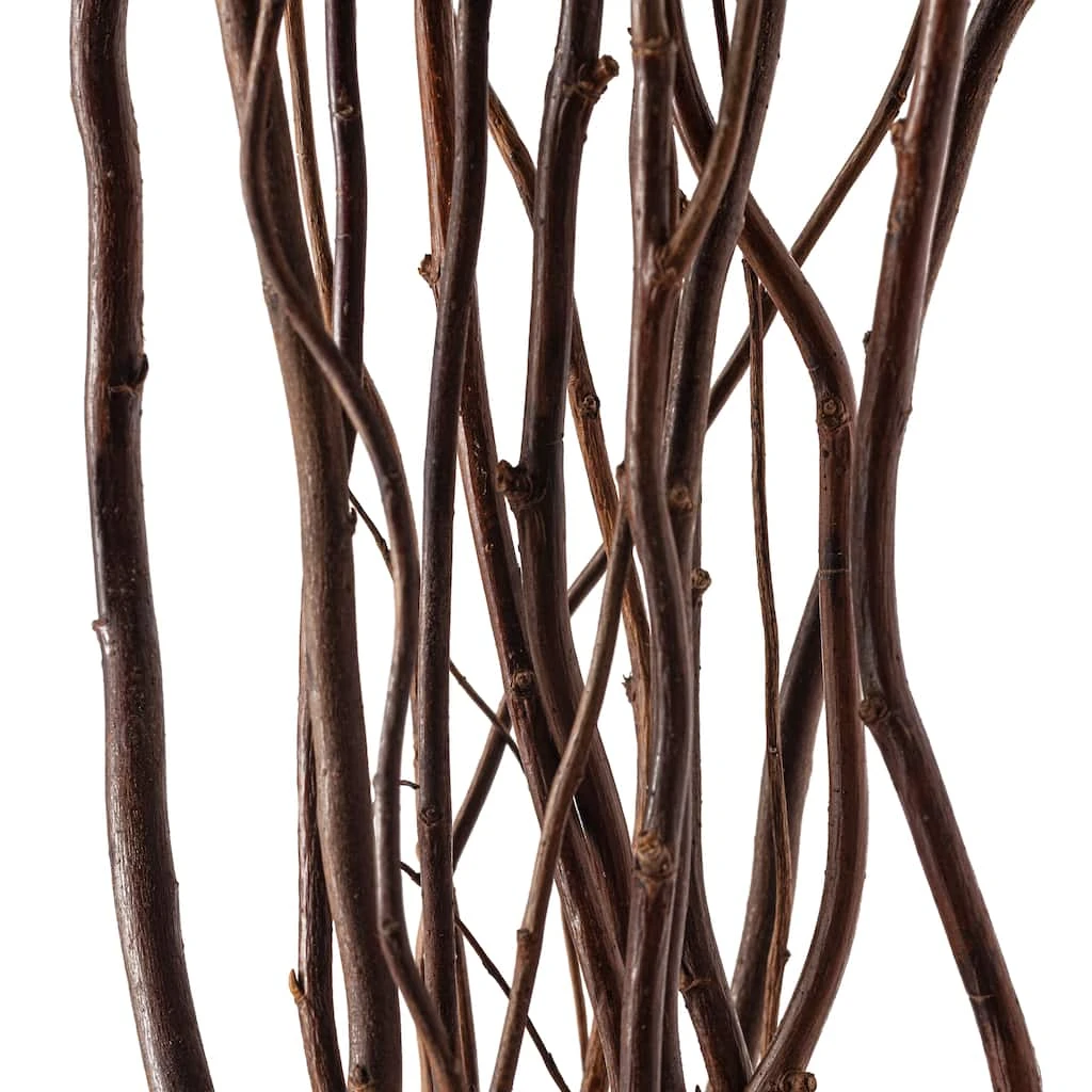 Brand new 👍 Natural Curly Willow by Ashland® ✨ 4 Brand new 👍 Natural Curly Willow by Ashland® ✨ - Image 2