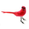 Top 10 ❤️ 24 Pack: Cardinal Bird by Ashland® 🧨 1 Top 10 ❤️ 24 Pack: Cardinal Bird by Ashland® 🧨 -Outlet Yuletide Joy Store 10029902