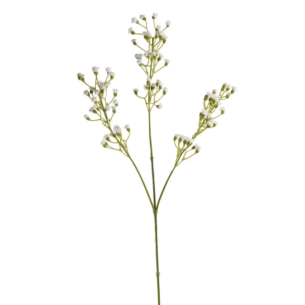 Brand new ⭐ Ivory Mini Baby's Breath Spray by Ashland® ⭐ 5 Brand new ⭐ Ivory Mini Baby's Breath Spray by Ashland® ⭐ - Image 3