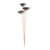 Best Pirce π Natural Lotus Pods Stem by Ashland® β 1 Best Pirce π Natural Lotus Pods Stem by Ashland® β -Outlet Yuletide Joy Store 10065712 21