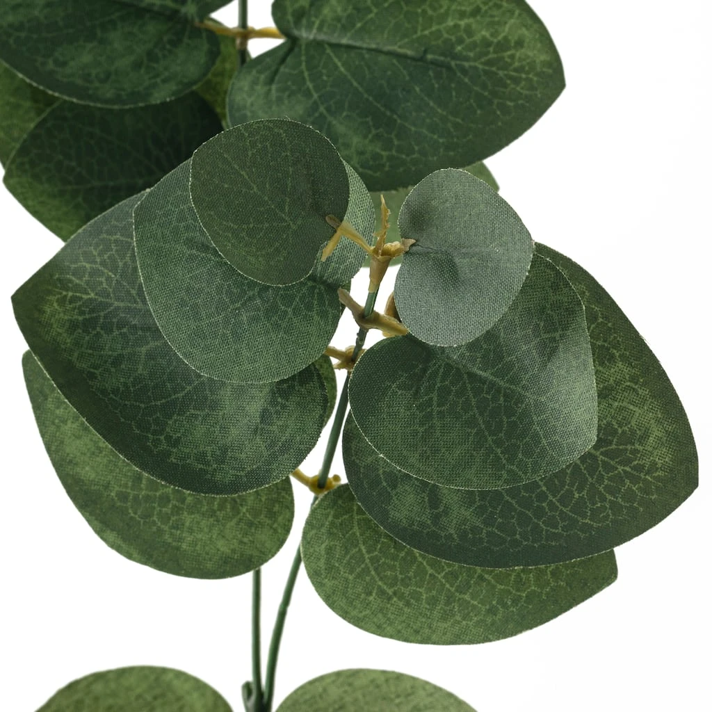 Buy 🔔 Eucalyptus Bunch Spray by Ashland® ❤️ 5 Buy 🔔 Eucalyptus Bunch Spray by Ashland® ❤️ - Image 3