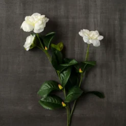 Buy ⭐ Gardenia Spray by Ashland® 💯 7 Buy ⭐ Gardenia Spray by Ashland® 💯 -Outlet Yuletide Joy Store 10107972 25