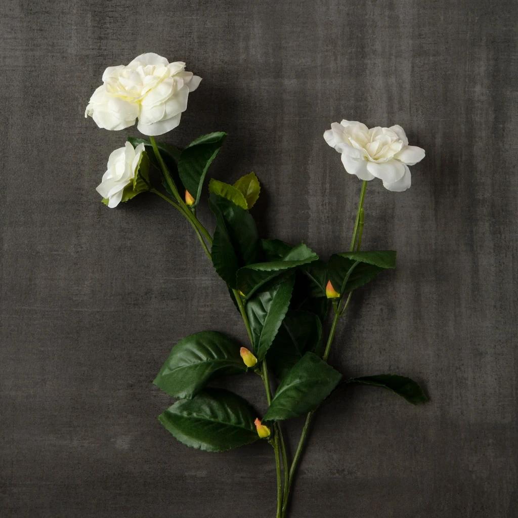 Buy ⭐ Gardenia Spray by Ashland® 💯 5 Buy ⭐ Gardenia Spray by Ashland® 💯 - Image 3