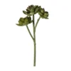 Hot Sale ⭐ Ashland® Succulent Pick 🤩 2 Hot Sale ⭐ Ashland® Succulent Pick 🤩 -Outlet Yuletide Joy Store 10128870 1