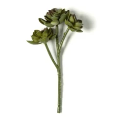 Hot Sale ⭐ Ashland® Succulent Pick 🤩 9 Hot Sale ⭐ Ashland® Succulent Pick 🤩 -Outlet Yuletide Joy Store 10128870 21