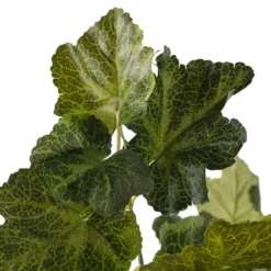 Outlet ⌛ Coral Bell Bush by Ashland® 🥰 -Outlet Yuletide Joy Store 10129104 20