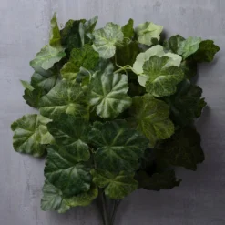 Outlet ⌛ Coral Bell Bush by Ashland® 🥰 -Outlet Yuletide Joy Store 10129104 25