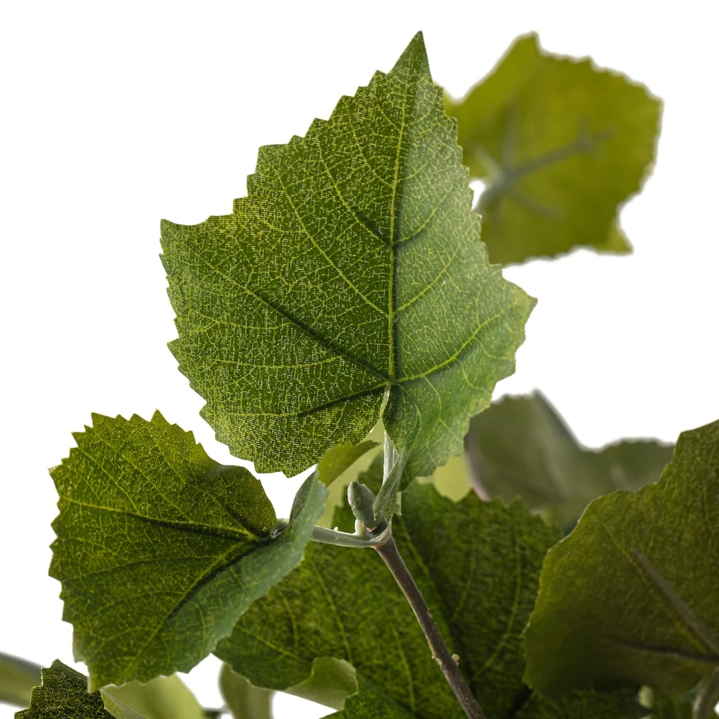 Promo π Green Hanging Grape Leaf Bush by Ashland® π 5 Promo π Green Hanging Grape Leaf Bush by Ashland® π - Image 3