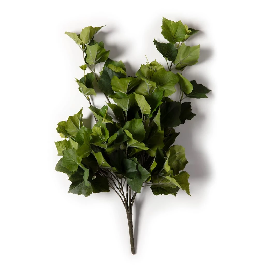 Promo π Green Hanging Grape Leaf Bush by Ashland® π 6 Promo π Green Hanging Grape Leaf Bush by Ashland® π - Image 4