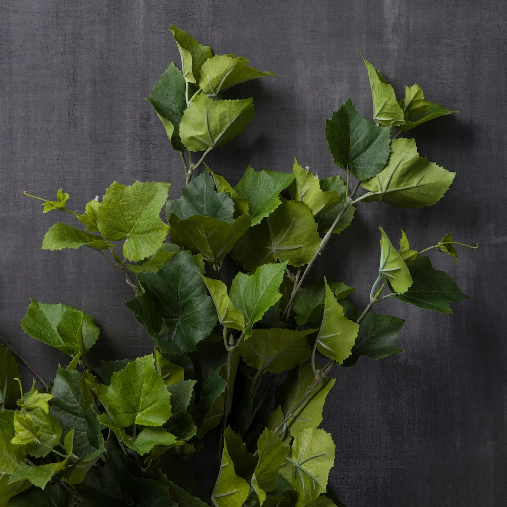 Promo π Green Hanging Grape Leaf Bush by Ashland® π 4 Promo π Green Hanging Grape Leaf Bush by Ashland® π - Image 2