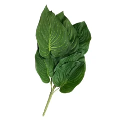 Top 10 ⭐ 12 Pack: Green Hosta Bush by Ashland® ✔️