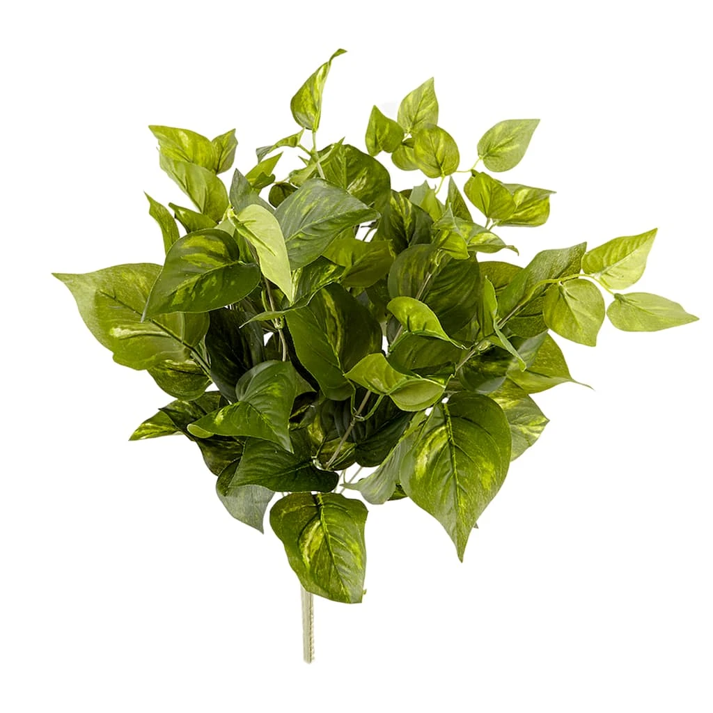 Best reviews of π Pothos Bush Real Touch™ Collection by Ashland β 3 Best reviews of π Pothos Bush Real Touch™ Collection by Ashland β