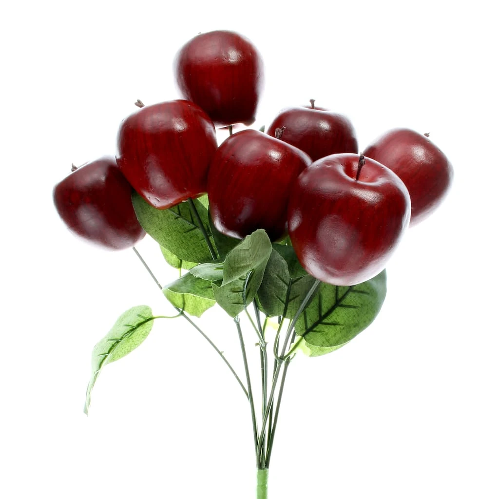 Outlet ✔️ 8 Pack: Red Apple Bush by Ashland® ⭐ 3 Outlet ✔️ 8 Pack: Red Apple Bush by Ashland® ⭐