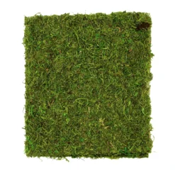 Coupon ✨ Moss Mat by Ashland® ⌛ -Outlet Yuletide Joy Store 10135027 3