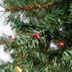 Coupon 🎉 7ft. Pre-Lit Willow Pine Artificial Christmas Tree, Multicolor Lights by Ashland® ⭐ 13 Coupon 🎉 7ft. Pre-Lit Willow Pine Artificial Christmas Tree, Multicolor Lights by Ashland® ⭐ -Outlet Yuletide Joy Store 10151890 11