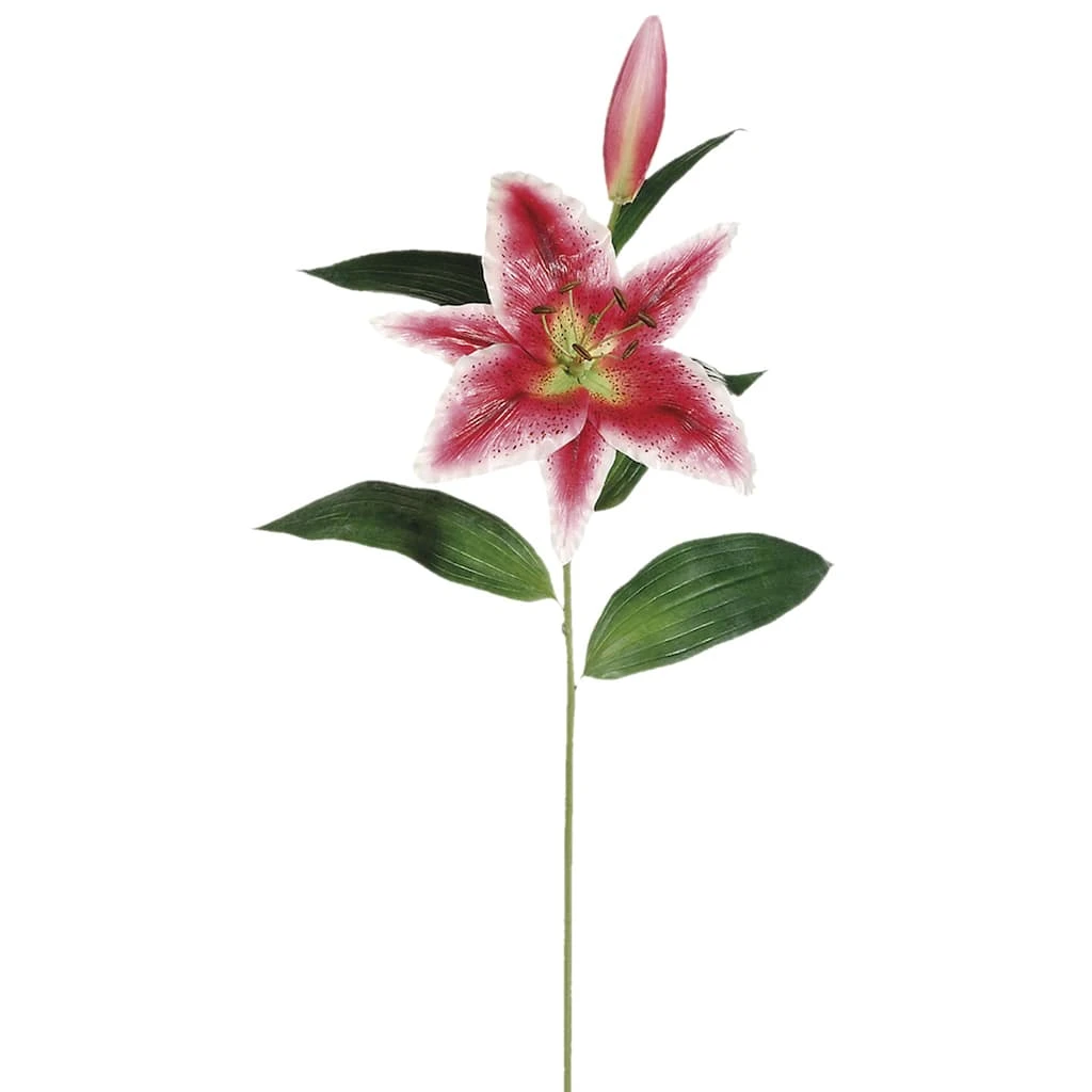 Best deal π 12 Pack: Rubrum Lily Spray by Ashland® βοΈ 3 Best deal π 12 Pack: Rubrum Lily Spray by Ashland® βοΈ