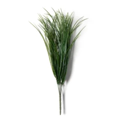 Best Sale ❤️ Assorted Grass Bush by Ashland® 👍
