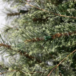 Best reviews of โจ 7.5ft. Pre-Lit Quick Set™ Jasper Artificial โจ Christmas Tree, Clear Lights by Ashland® ๐ 15 Best reviews of โจ 7.5ft. Pre-Lit Quick Set™ Jasper Artificial โจ Christmas Tree, Clear Lights by Ashland® ๐ -Outlet Yuletide Joy Store 10191054 13