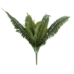 Wholesale 🎉 Boston Fern Bush Fern Collection by Ashland® ❤️