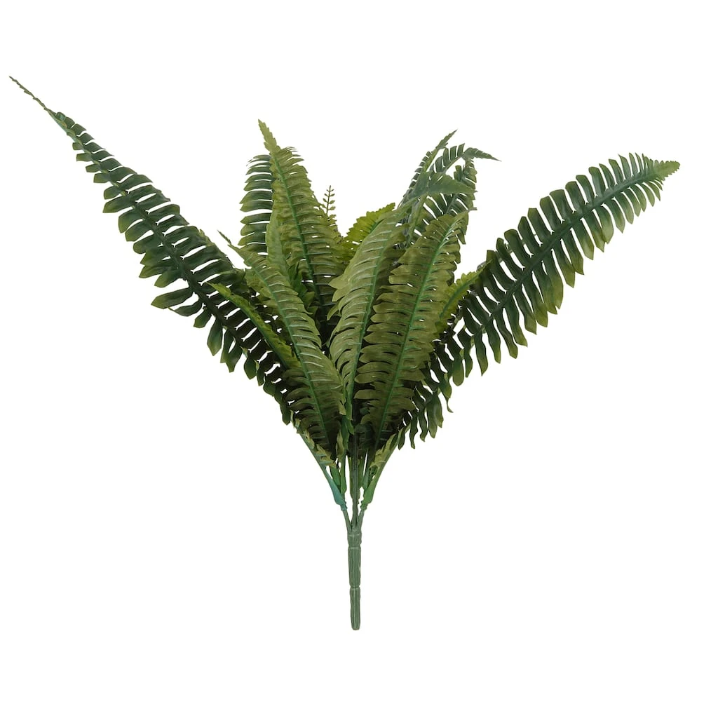 Wholesale 🎉 Boston Fern Bush Fern Collection by Ashland® ❤️ 3 Wholesale 🎉 Boston Fern Bush Fern Collection by Ashland® ❤️