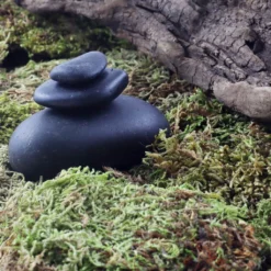 Top 10 ✔️ Preserved Forest Moss by Ashland® 🔔 -Outlet Yuletide Joy Store 10204602 3