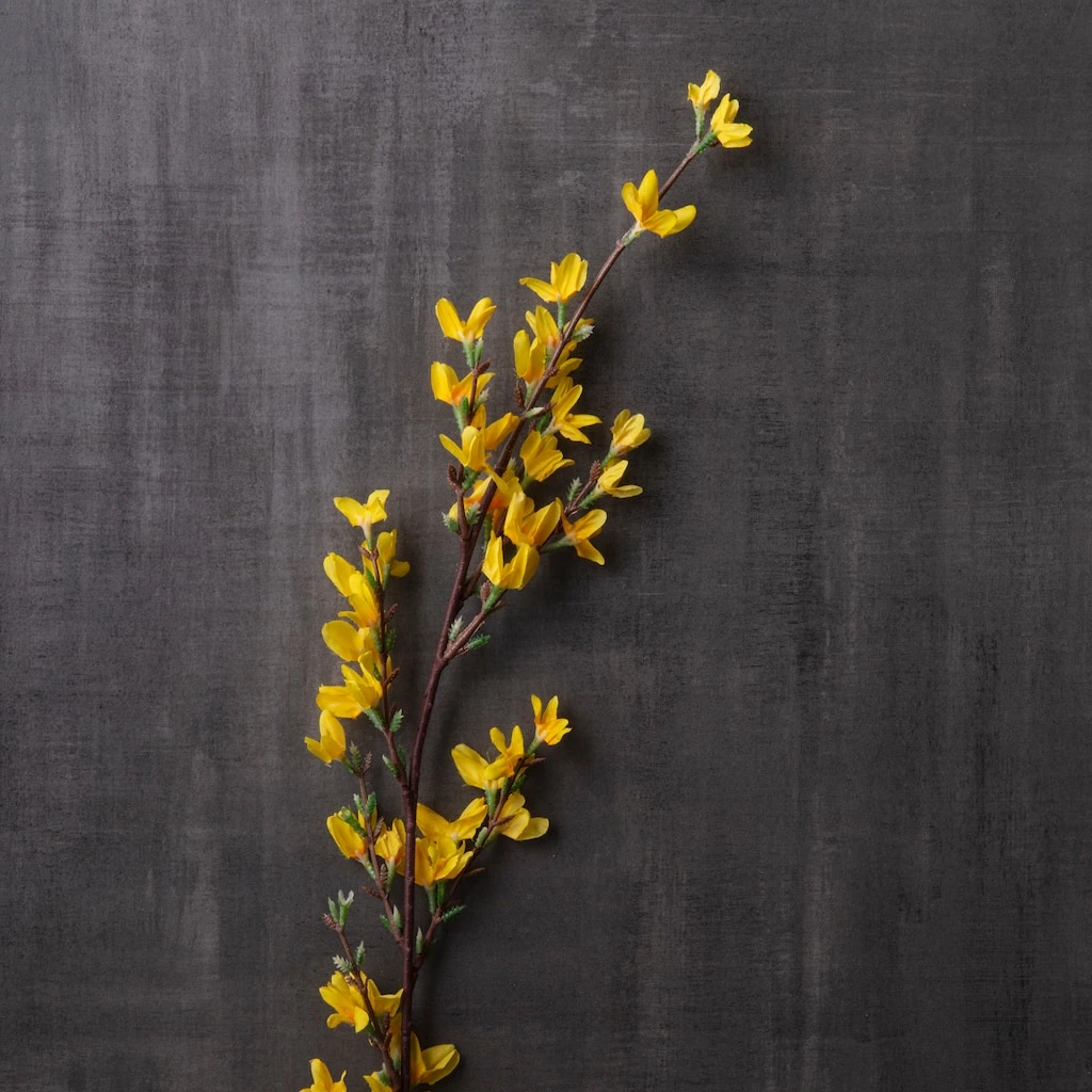 Best Pirce 💯 Forsythia Branch Floral Essentials by Ashland® ⌛ 4 Best Pirce 💯 Forsythia Branch Floral Essentials by Ashland® ⌛ - Image 2