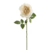Cheap 🛒 White Sophia Rose Stem by Ashland® ⌛ -Outlet Yuletide Joy Store 10213470 01