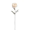 Cheap ⭐ 12 Pack: Cream Pearled Peony Stem by Ashland® 🤩