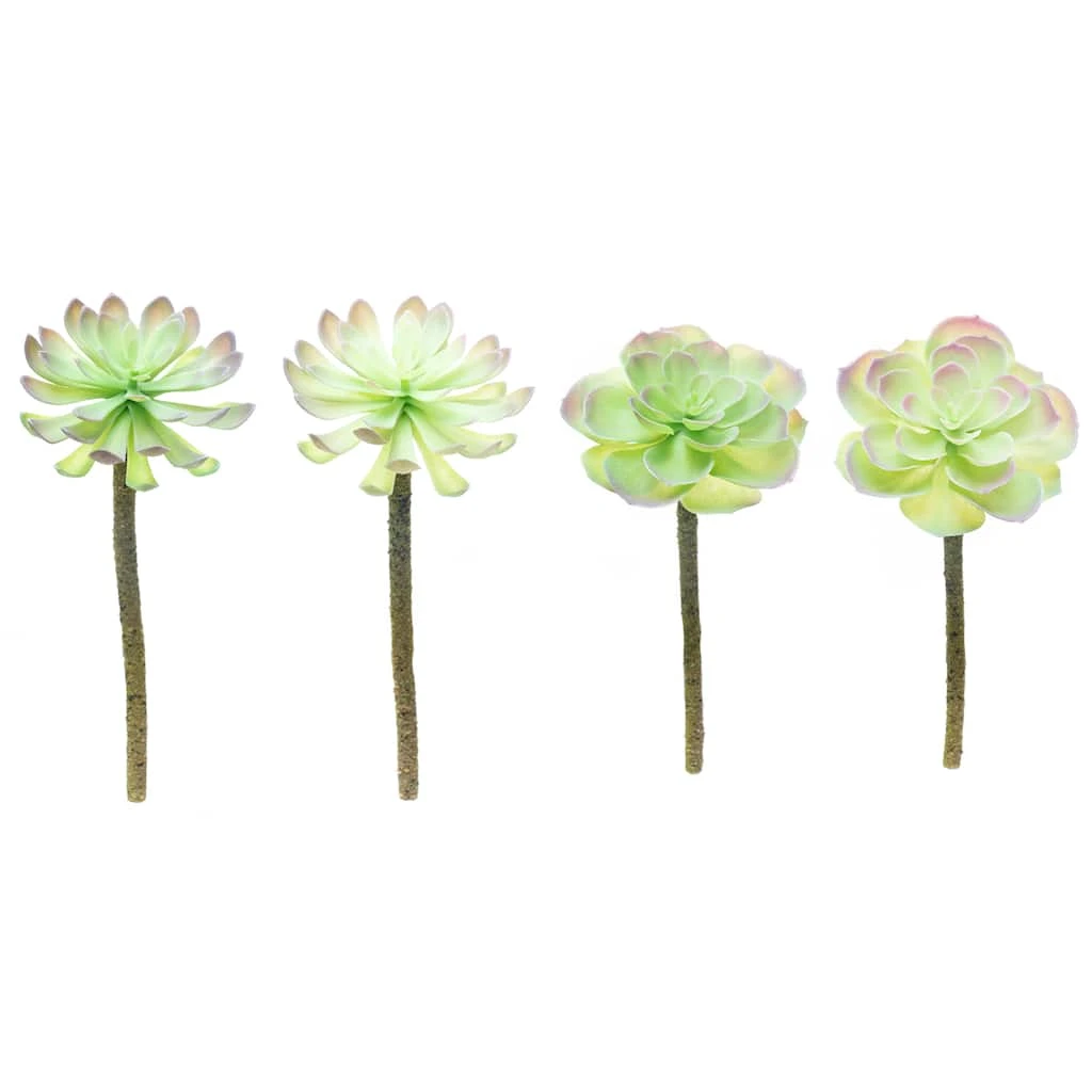 Budget β 12 Pack: Assorted Red Tipped Succulent Pick by Ashland® π― 3 Budget β 12 Pack: Assorted Red Tipped Succulent Pick by Ashland® π―