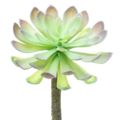 Budget β 12 Pack: Assorted Red Tipped Succulent Pick by Ashland® π― 11 Budget β 12 Pack: Assorted Red Tipped Succulent Pick by Ashland® π― -Outlet Yuletide Joy Store 10229986 2