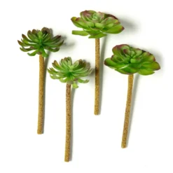 Best deal ๐ Assorted Red Tipped Succulent Pick by Ashland® โค๏ธ