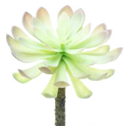 Budget β 12 Pack: Assorted Red Tipped Succulent Pick by Ashland® π― 12 Budget β 12 Pack: Assorted Red Tipped Succulent Pick by Ashland® π― -Outlet Yuletide Joy Store 10229986 3