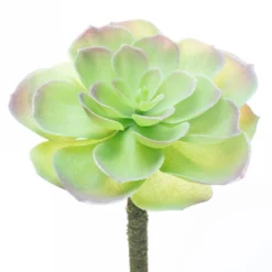 Budget β 12 Pack: Assorted Red Tipped Succulent Pick by Ashland® π― 13 Budget β 12 Pack: Assorted Red Tipped Succulent Pick by Ashland® π― -Outlet Yuletide Joy Store 10229986 4