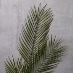 Coupon 🌟 Tropical Areca Palm Stem by Ashland® ⭐ -Outlet Yuletide Joy Store 10230900 22