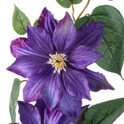 Cheap 🎉 Purple Tropical Clematis Stem by Ashland® ⭐ 7 Cheap 🎉 Purple Tropical Clematis Stem by Ashland® ⭐ -Outlet Yuletide Joy Store 10230902 20