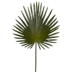 Flash Sale ✔️ 6 Pack: Green Fan Palm Stem by Ashland® ✔️