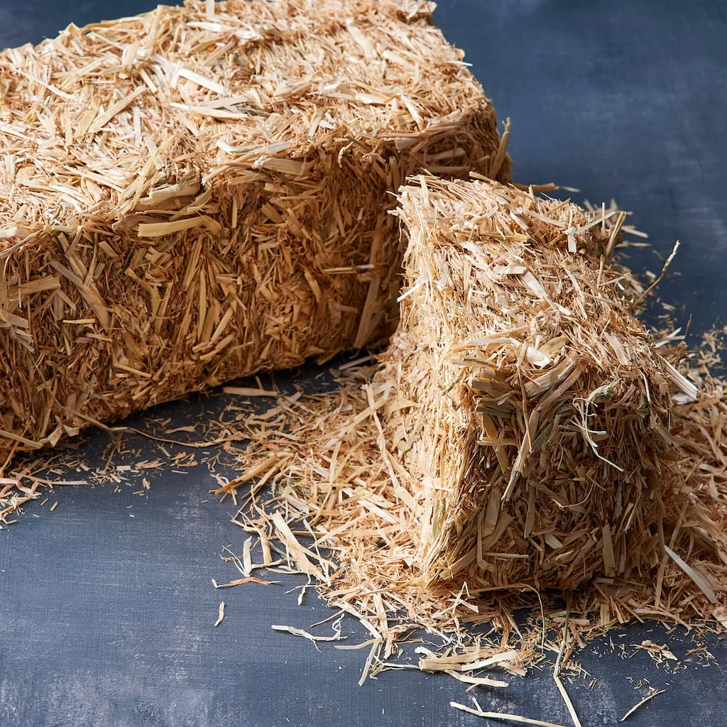 Best Pirce 🧨 Decorative Straw Bale by Ashland® ⌛ 6 Best Pirce 🧨 Decorative Straw Bale by Ashland® ⌛ - Image 4
