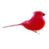 Discount 😀 24 Pack: Medium Cardinal Bird by Ashland® ⭐ 2 Discount 😀 24 Pack: Medium Cardinal Bird by Ashland® ⭐ -Outlet Yuletide Joy Store 10239960 1