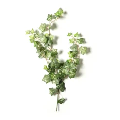 Wholesale ⭐ Silk Ivy Spray by Ashland® ⌛