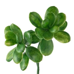 Discount 🔥 Green Crassula Spray by Ashland® ⌛ -Outlet Yuletide Joy Store 10262977 20