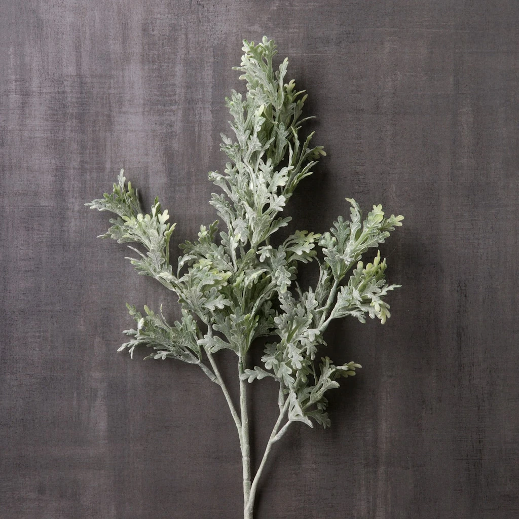 Cheap π Dusty Miller Stem by Ashland® π 4 Cheap π Dusty Miller Stem by Ashland® π - Image 2