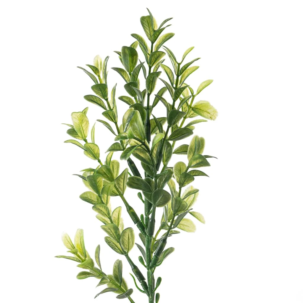 Cheap ❤️ Sweet Grass Stem by Ashland® 🥰 5 Cheap ❤️ Sweet Grass Stem by Ashland® 🥰 - Image 3