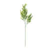 Cheap ❤️ Sweet Grass Stem by Ashland® 🥰 -Outlet Yuletide Joy Store 10263020 21
