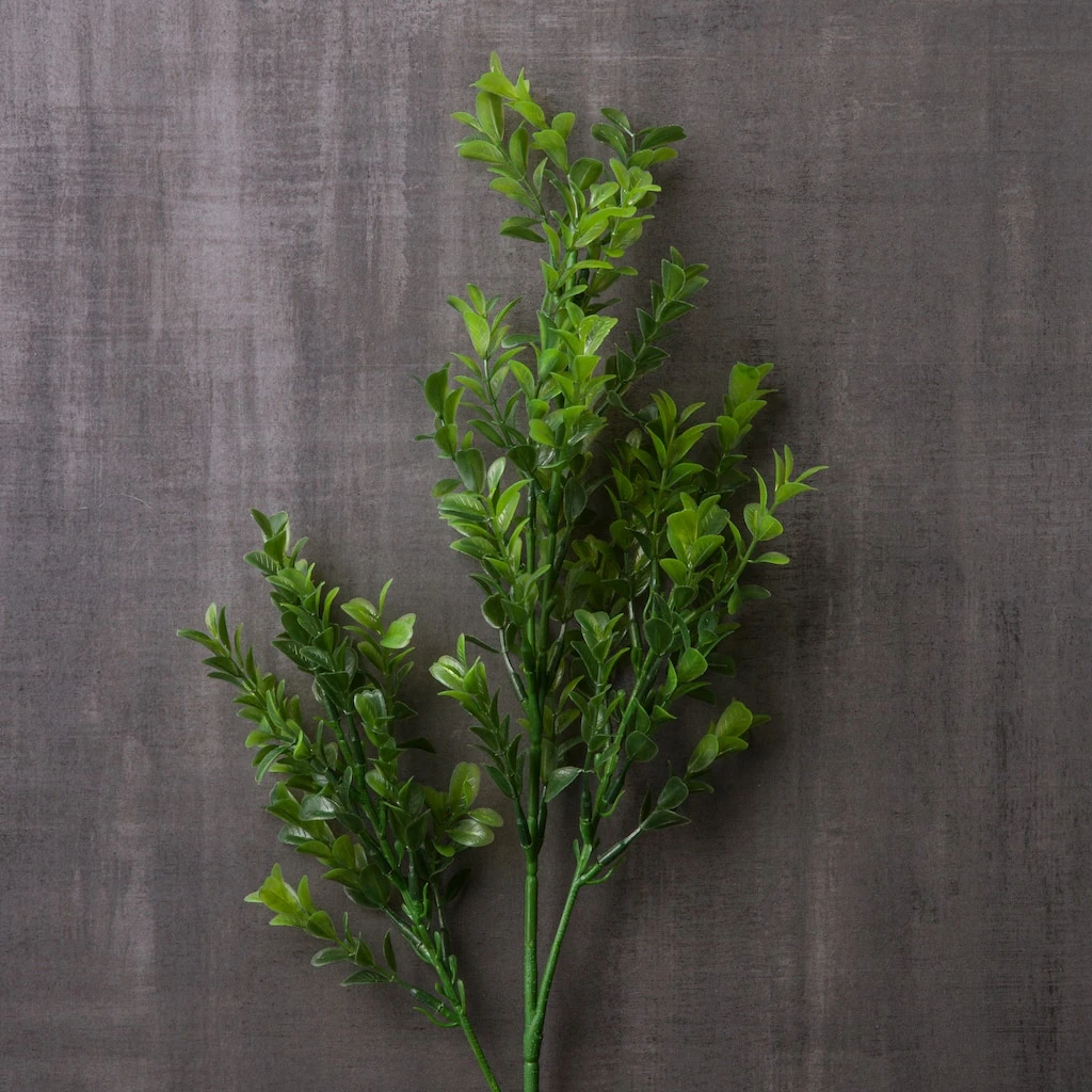 Cheap ❤️ Sweet Grass Stem by Ashland® 🥰 4 Cheap ❤️ Sweet Grass Stem by Ashland® 🥰 - Image 2