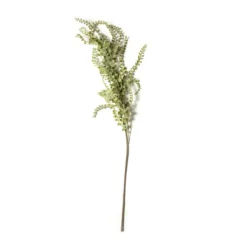 Wholesale 🛒 Weeping Fern Stem by Ashland® 😍
