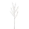 Discount 🎁 12 Pack: Brown Twig Stem by Ashland® 🧨 -Outlet Yuletide Joy Store 10263724