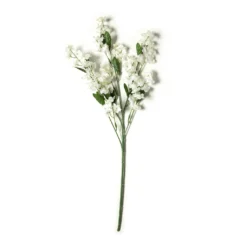 Best deal 🌟 Baby's Breath Double Ruffle Spray by Ashland® 😉