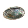 Wholesale ⭐ Blue Abalone Shell by Ashland® ⭐ 2 Wholesale ⭐ Blue Abalone Shell by Ashland® ⭐ -Outlet Yuletide Joy Store 10289973